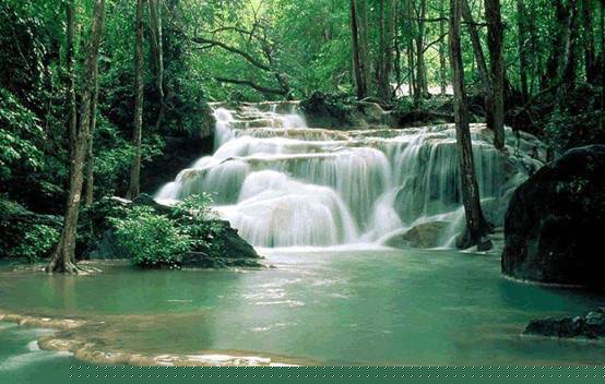 http://www.itisgreen.cn/Files/zjj_pic/jbx/b2.jpg